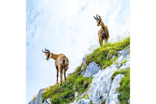 Fest im Blick | Seitenverhältnis 1:1