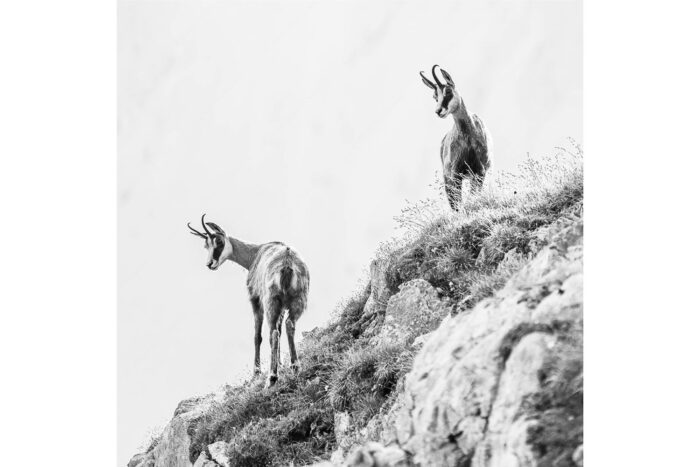 Fest im Blick | Seitenverhältnis 1:1