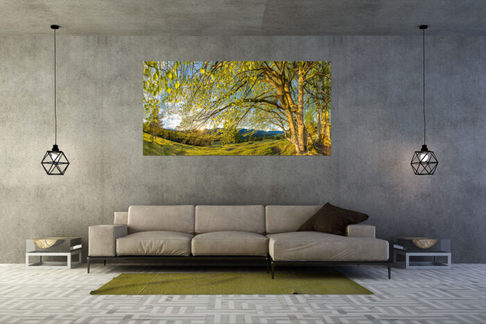 Licht in der Buche I | Größe ca. 200x100cm, Seitenverhältnis 2:1