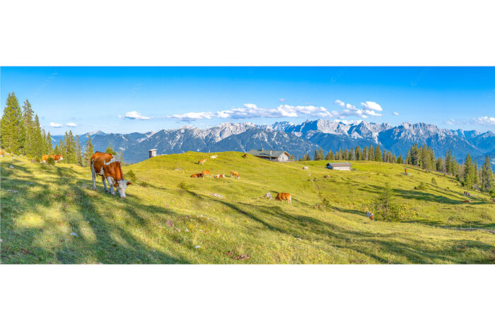 Auf da Krüneralm