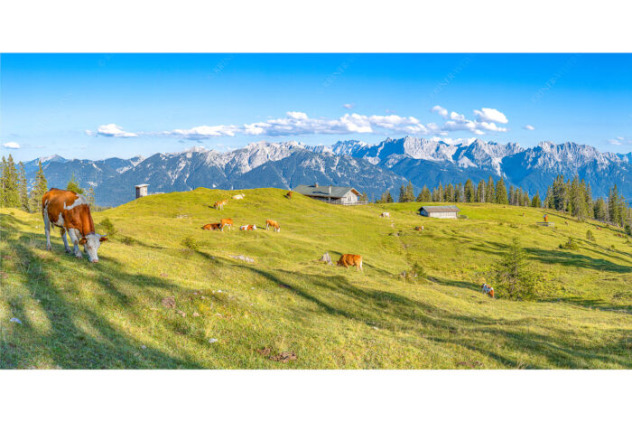 Auf da Krüneralm