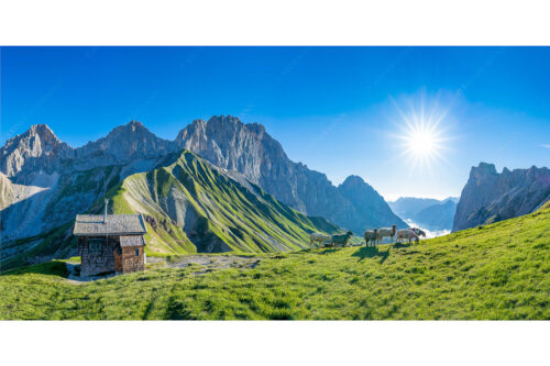 Malerische Sommerweide | Seitenverhältnis 2:1