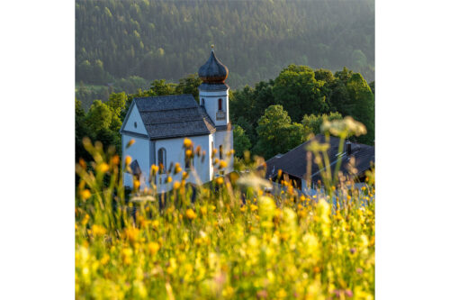 Blumenwiese Wamberg | Seitenverhältnis 1:1