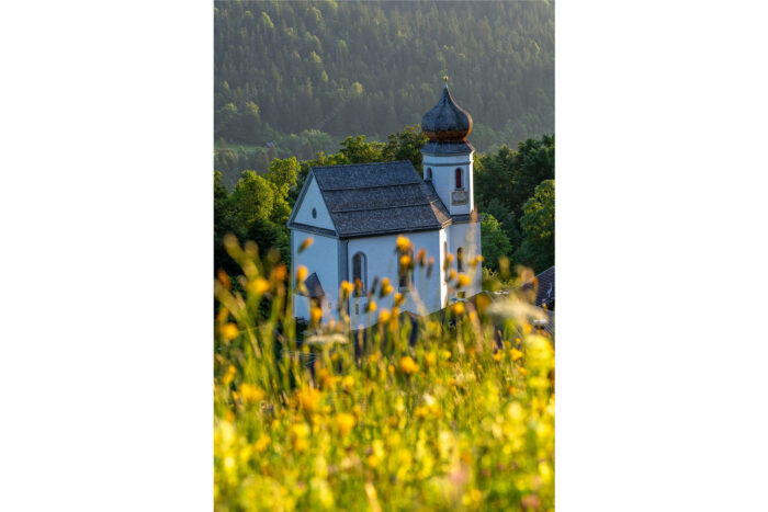 Blumenwiese Wamberg | Seitenverhältnis 2:3