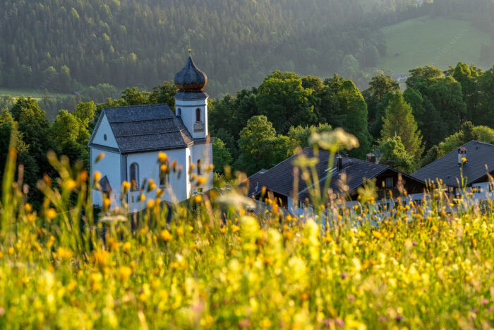 Blumenwiese Wamberg | Seitenverhältnis 3:2