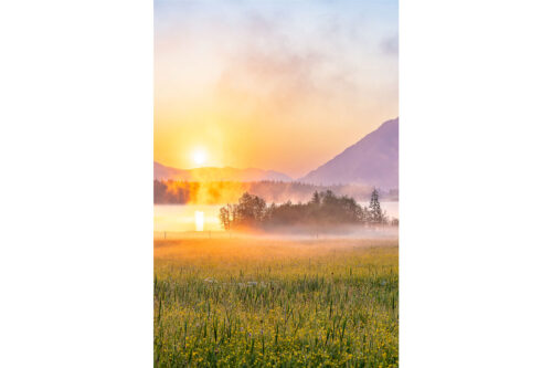 Sommermorgen | Seitenverhältnis 2:3