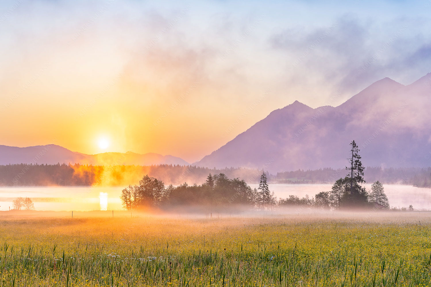 Sommermorgen | Seitenverhältnis 3:2