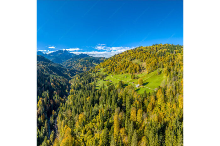 Herbstliches Hintergraseck | Seitenverhältnis 1:1