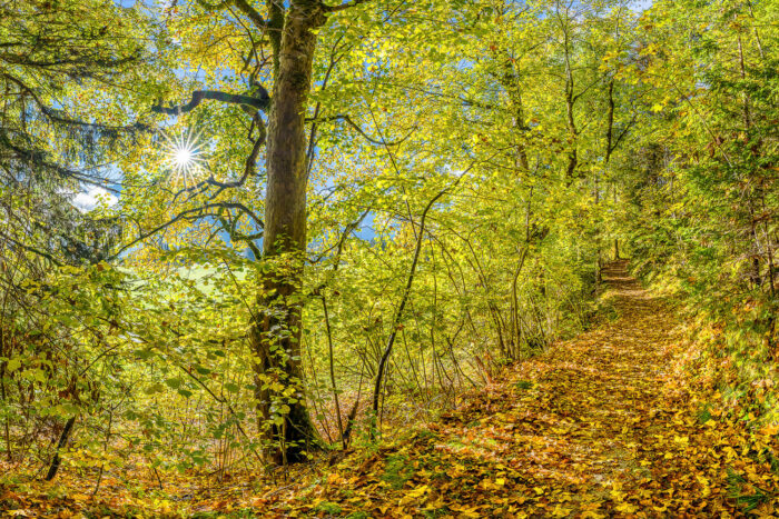 Auf dem Goldenen Weg