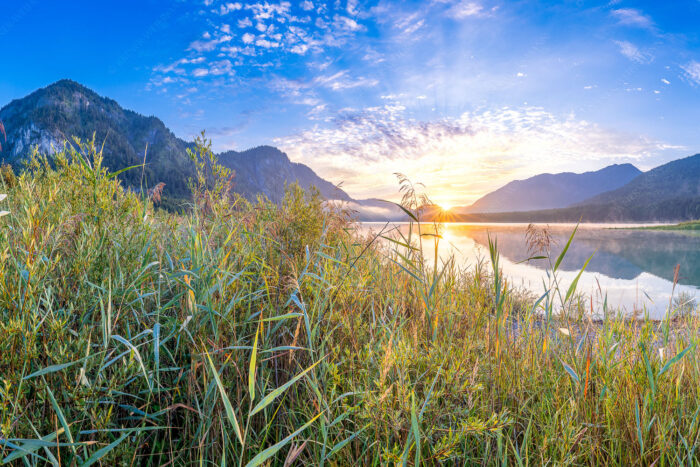 Einsamer Sommermorgen