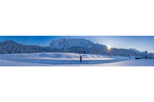 Langlauf in Märchenhafter Schneelandschaft | Seitenverhältnis 5:1