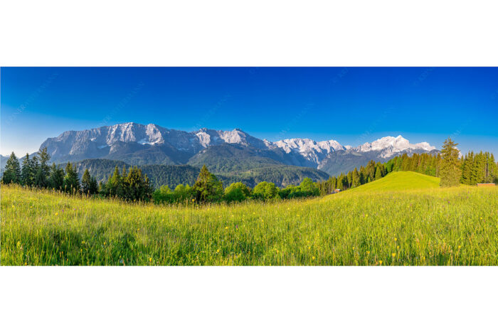 Sommerwiesenpanorama