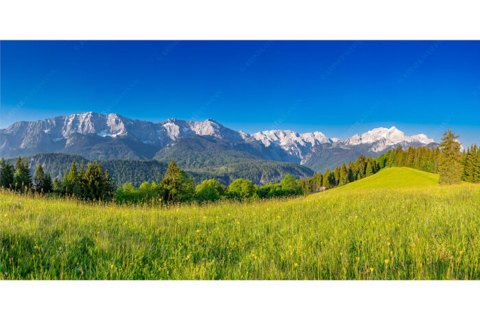 Sommerwiesenpanorama