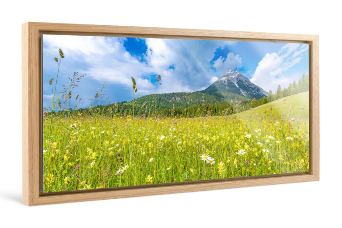 Blumenwiese vor Hoher Munde | Foto im Schattenfugen-Rahmen