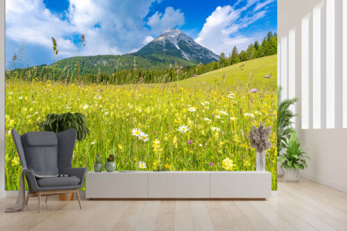 Blumenwiese vor Hoher Munde | Größe ca. 300x200cm, Seitenverhältnis 3:2