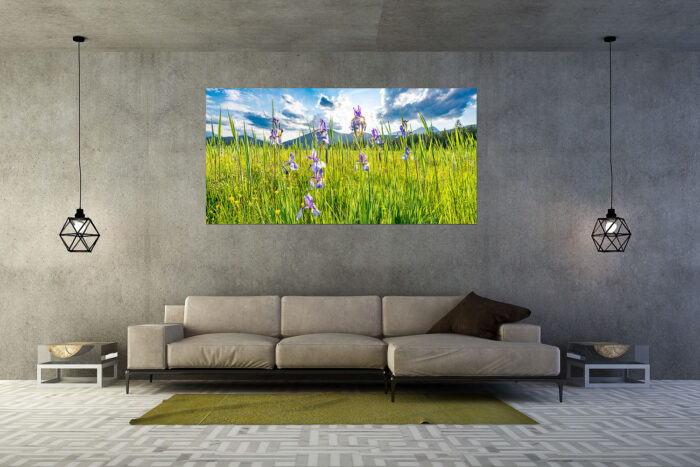 Sommerliche Blüten | Größe ca. 200x100cm, Seitenverhältnis 2:1