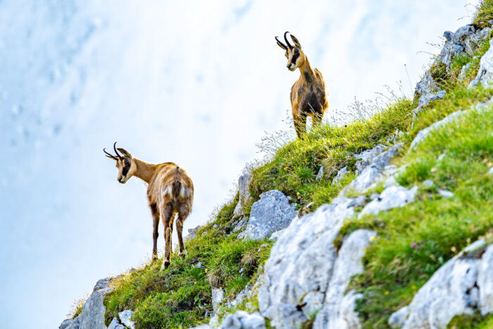 Fest im Blick | Seitenverhältnis 3:2