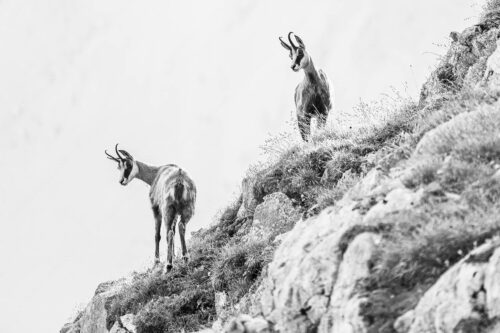 Fest im Blick | Seitenverhältnis 3:2