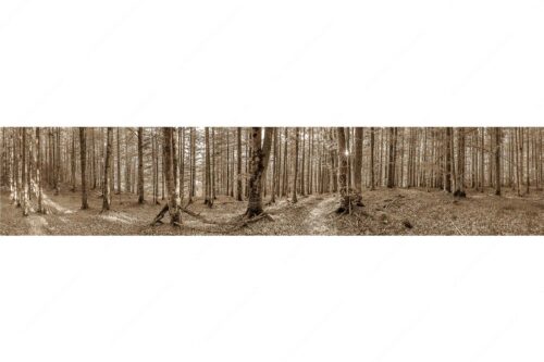 Die Sonne spitzt durch den Buchenwald - Alles Buchen - Seitenverhältnis 5:1 - Sonne im Wald - weitere Infos unter https://www.kriner-weiermann.de