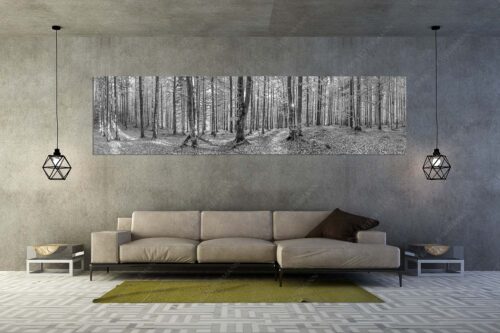 Die Sonne spitzt durch den Buchenwald - Alles Buchen - Größe ca. 320x80cm, Seitenverhältnis 4:1 - Sonne im Wald - weitere Infos unter https://www.kriner-weiermann.de