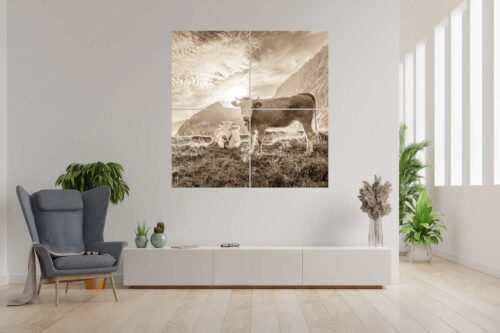 Jungvieh auf der Alm im Wettersteingebirge bei Sonnenaufgang - Almsommermorgen IV - 4er Split, Größe ca. 180x180cm, Seitenverhältnis 1:1 - Junge Rinder auf der Alm - weitere Infos unter https://www.kriner-weiermann.de