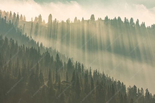 Morgentliche Gegenlichtaufnahme im Bereich der Krüner Alm - Ausstrahlung - Seitenverhältnis 3:2 - Nebelstimmung Estergebirge - weitere Infos unter https://www.kriner-weiermann.de