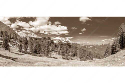 Großer Zirbenbestand auf der Wettersteinnordseite mit Blick aufs Zugspitzmassiv - Die Farben deines Himmels - Seitenverhältnis 2,5:1 - Frühling im Wettersteingebirge - weitere Infos unter https://www.kriner-weiermann.de