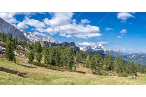 Großer Zirbenbestand auf der Wettersteinnordseite mit Blick aufs Zugspitzmassiv - Die Farben deines Himmels - Seitenverhältnis 2:1 - Frühling im Wettersteingebirge - weitere Infos unter https://www.kriner-weiermann.de