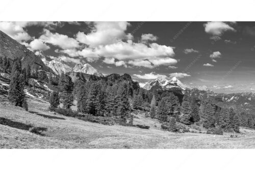 Großer Zirbenbestand auf der Wettersteinnordseite mit Blick aufs Zugspitzmassiv - Die Farben deines Himmels - Seitenverhältnis 2:1 - Frühling im Wettersteingebirge - weitere Infos unter https://www.kriner-weiermann.de