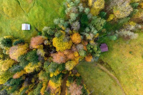 Bergmischwald mit Wiesmahd im Werdenfelser Land - Gsunds Verhältnis - Seitenverhältnis 3:2 - Herbst-Wald von Oben - weitere Infos unter https://www.kriner-weiermann.de