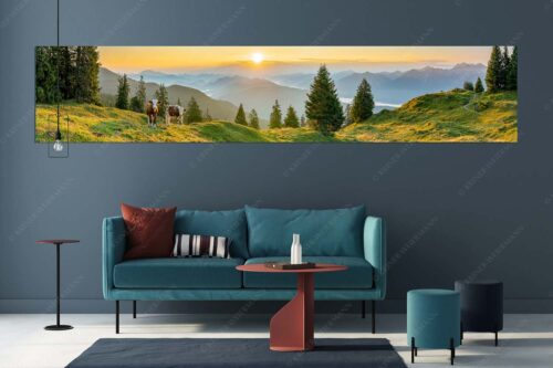 Jungvieh auf der Wallgauer Alm im Estergebirge mit Blick zur Benediktenwand bei Sonnenaufgang - Guten Morgen - Größe ca. 350x70cm, Seitenverhältnis 5:1 - Junge Rinder auf der Wallgaueralm - weitere Infos unter https://www.kriner-weiermann.de