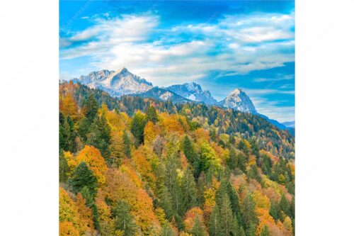 Blick über Herbstwald zum Zugspitzmassiv im Wettersteingebirge - Indian Summer Dahoam - Seitenverhältnis 1:1 - Herbstfärbung mit Alpspitze Zugspitze und Waxenstein - weitere Infos unter https://www.kriner-weiermann.de