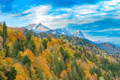 Blick über Herbstwald zum Zugspitzmassiv im Wettersteingebirge - Indian Summer Dahoam - Seitenverhältnis 3:2 - Herbstfärbung mit Alpspitze Zugspitze und Waxenstein - weitere Infos unter https://www.kriner-weiermann.de