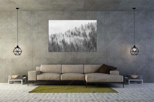 Das flach hereinfallende Licht wirft zauberhafte Schatten in die Baumspitzen - Spitzen - Größe ca. 180x120cm, Seitenverhältnis 3:2 - Nebelstimmung im Wald - weitere Infos unter https://www.kriner-weiermann.de