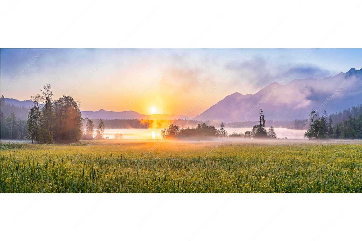 Blick über den Barmsee in den Sonnenaufgang - Sommermorgen - Seitenverhältnis 2,5:1 - Barmsee Blumenwiese Sonnenaufgang - weitere Infos unter https://www.kriner-weiermann.de