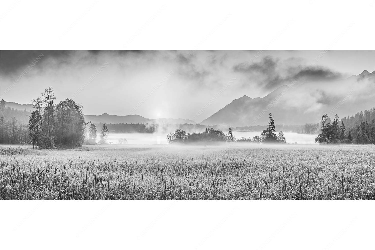 Blick über den Barmsee in den Sonnenaufgang - Sommermorgen - Seitenverhältnis 2,5:1 - Barmsee Blumenwiese Sonnenaufgang - weitere Infos unter https://www.kriner-weiermann.de