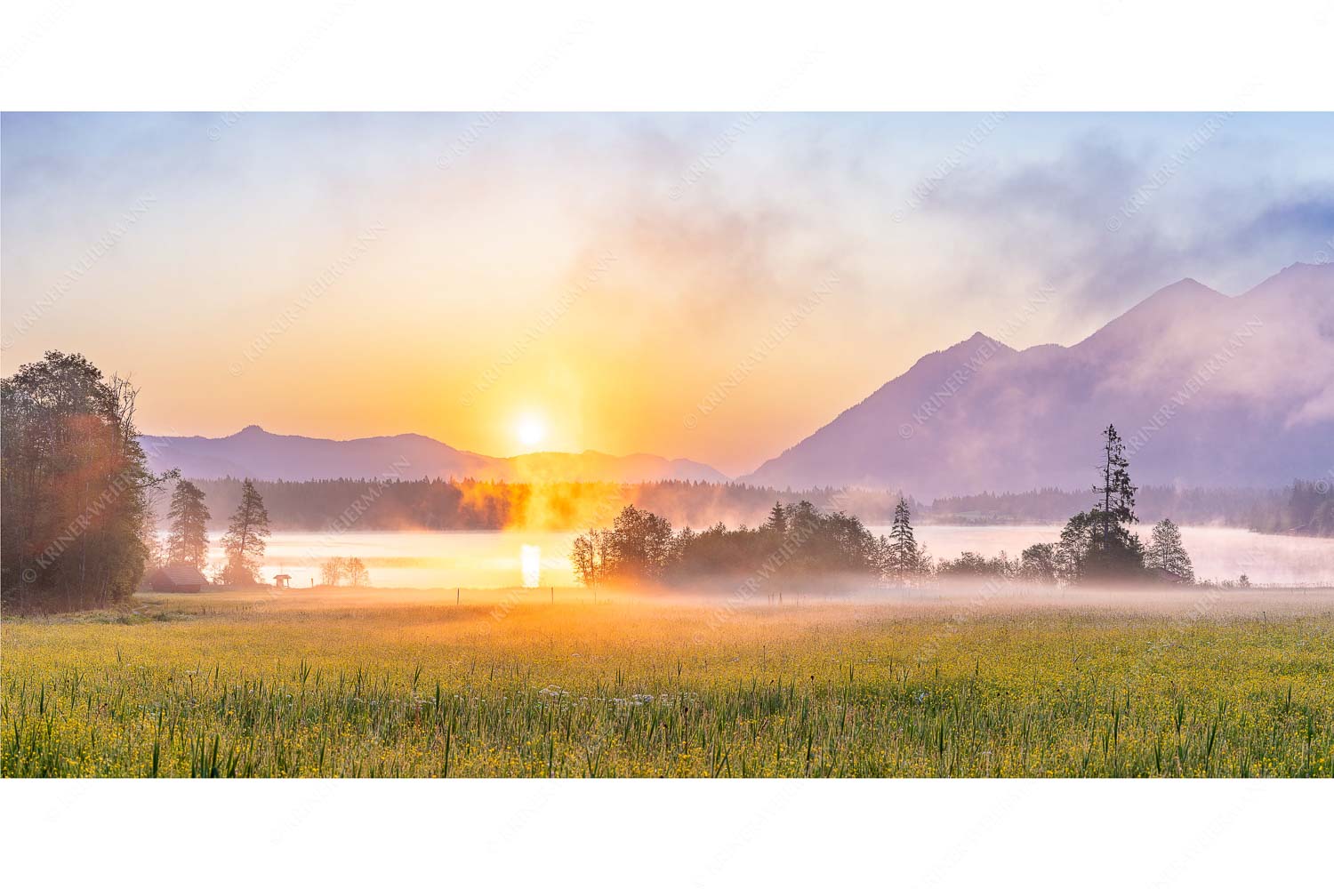 Blick über den Barmsee in den Sonnenaufgang - Sommermorgen - Seitenverhältnis 2:1 - Barmsee Blumenwiese Sonnenaufgang - weitere Infos unter https://www.kriner-weiermann.de