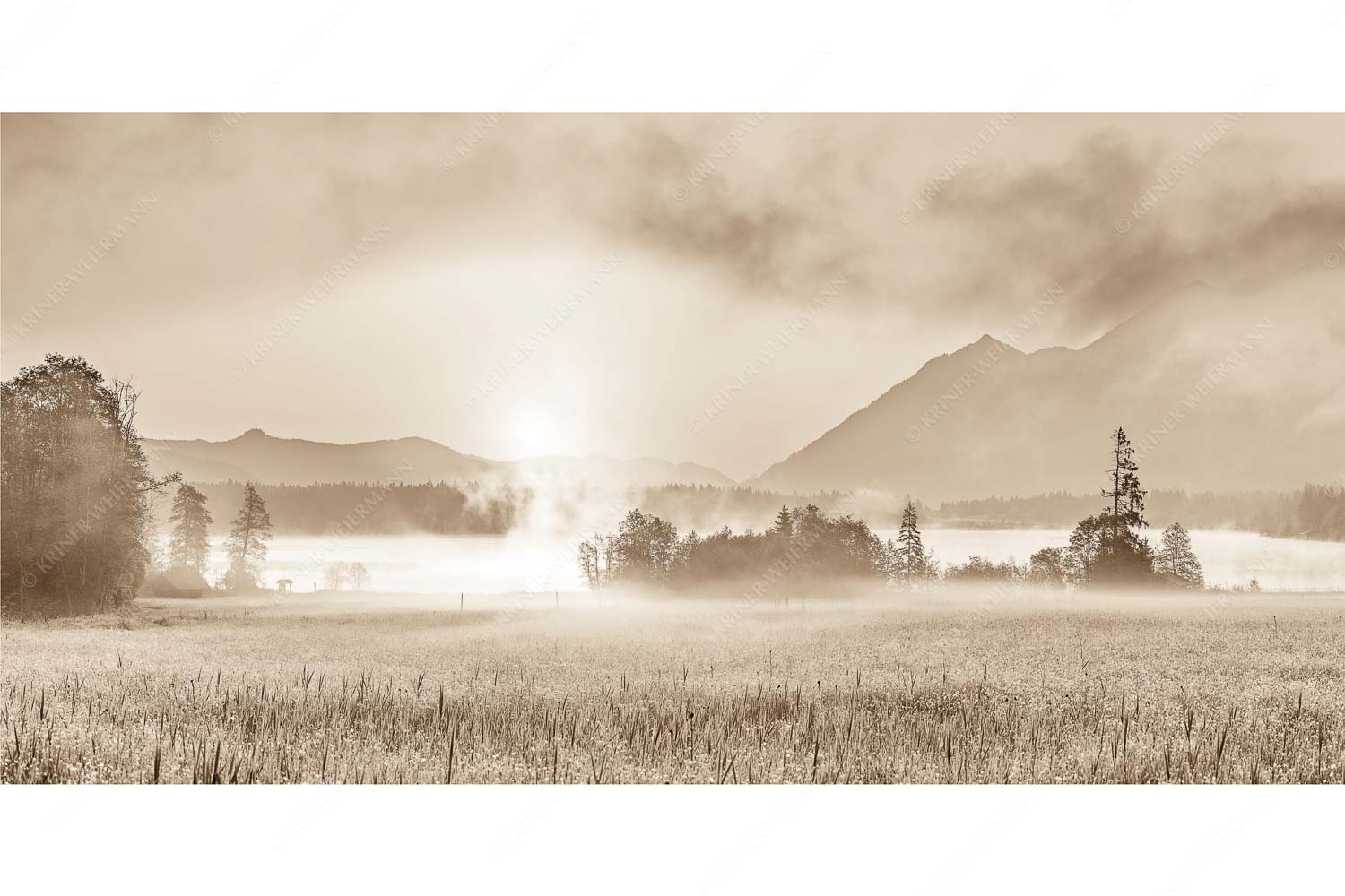 Blick über den Barmsee in den Sonnenaufgang - Sommermorgen - Seitenverhältnis 2:1 - Barmsee Blumenwiese Sonnenaufgang - weitere Infos unter https://www.kriner-weiermann.de