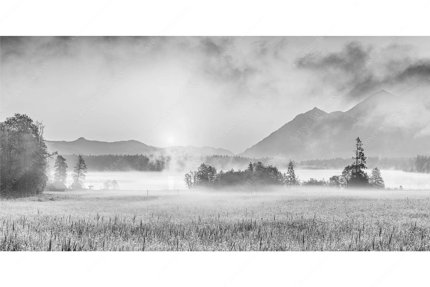 Blick über den Barmsee in den Sonnenaufgang - Sommermorgen - Seitenverhältnis 2:1 - Barmsee Blumenwiese Sonnenaufgang - weitere Infos unter https://www.kriner-weiermann.de