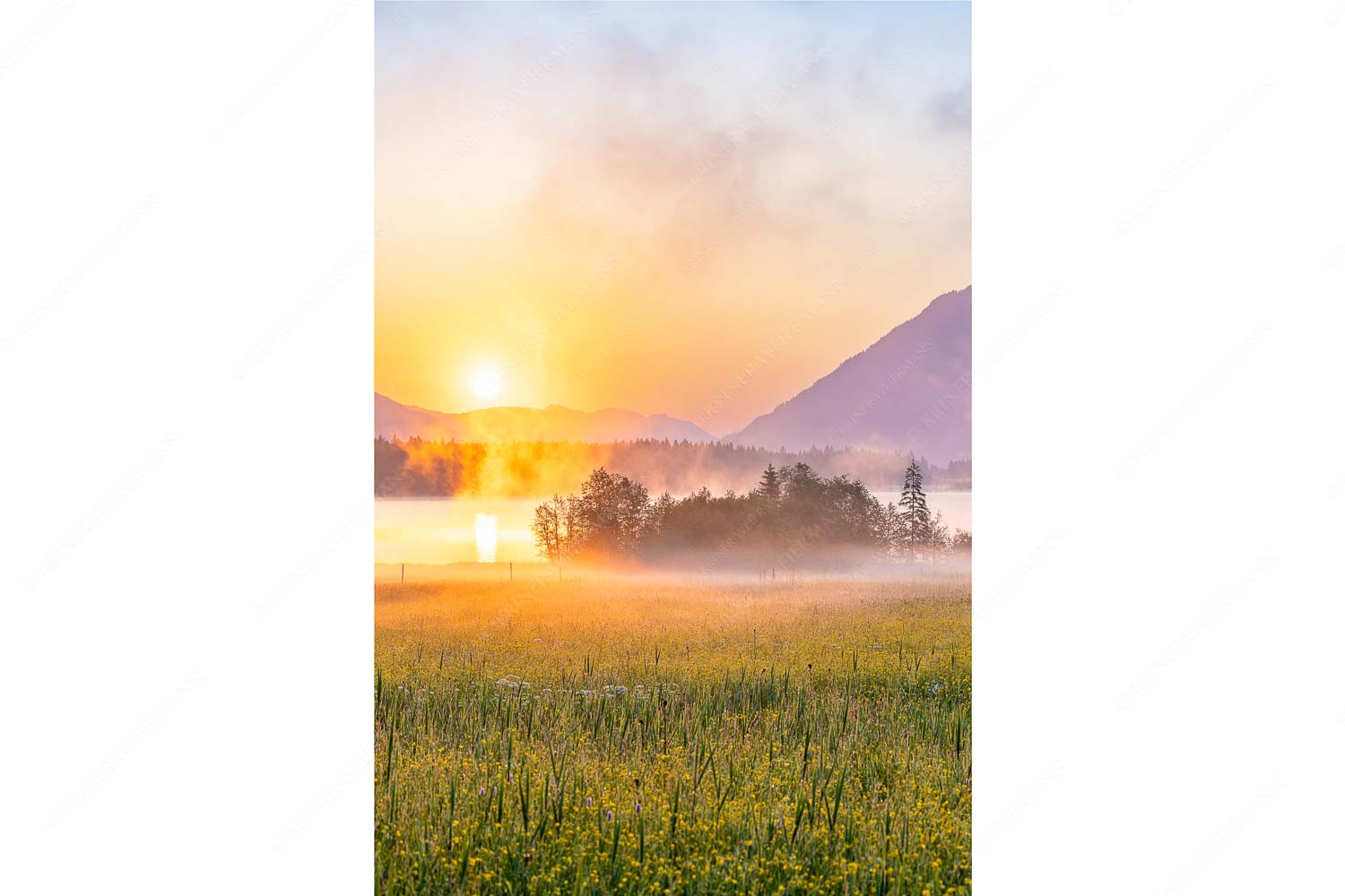 Blick über den Barmsee in den Sonnenaufgang - Sommermorgen - Seitenverhältnis 2:3 - Barmsee Blumenwiese Sonnenaufgang - weitere Infos unter https://www.kriner-weiermann.de