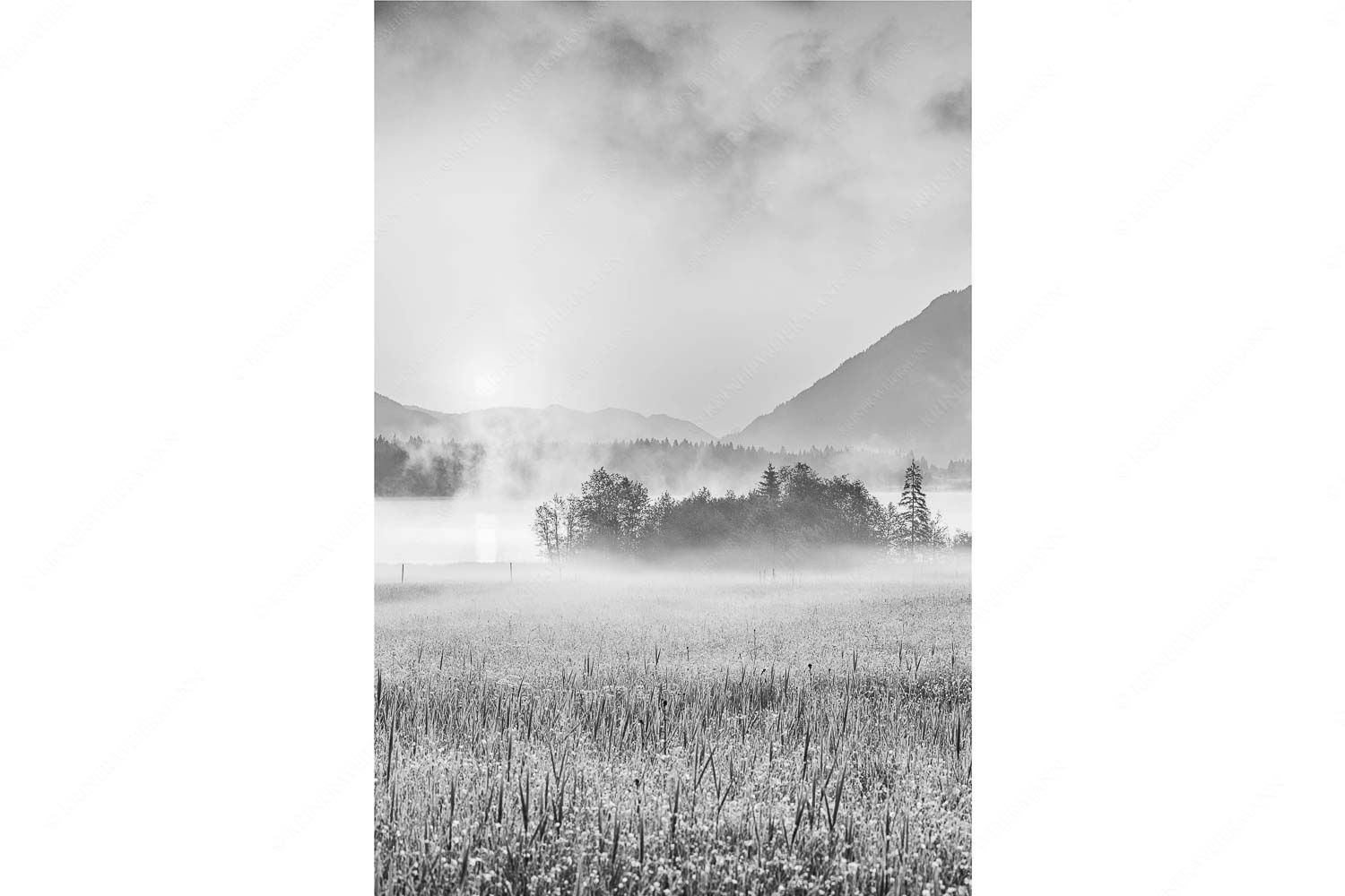 Blick über den Barmsee in den Sonnenaufgang - Sommermorgen - Seitenverhältnis 2:3 - Barmsee Blumenwiese Sonnenaufgang - weitere Infos unter https://www.kriner-weiermann.de