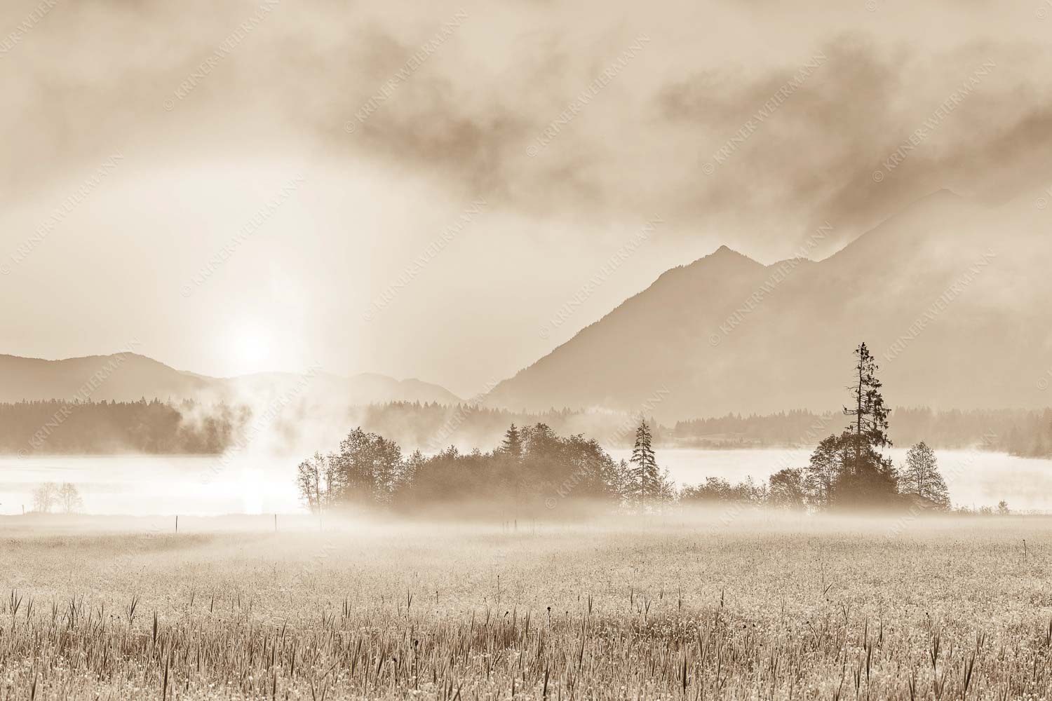 Blick über den Barmsee in den Sonnenaufgang - Sommermorgen - Seitenverhältnis 3:2 - Barmsee Blumenwiese Sonnenaufgang - weitere Infos unter https://www.kriner-weiermann.de