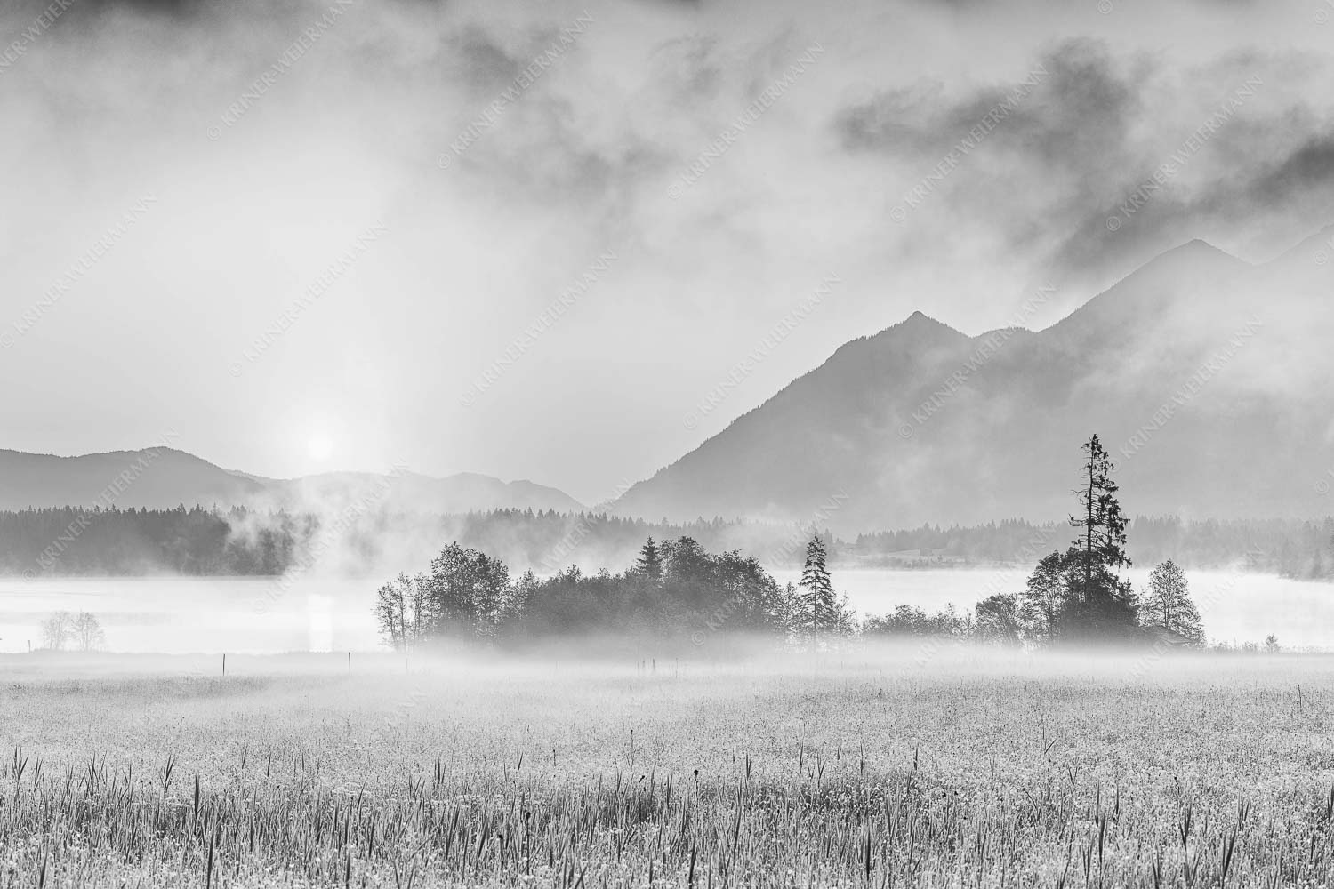 Blick über den Barmsee in den Sonnenaufgang - Sommermorgen - Seitenverhältnis 3:2 - Barmsee Blumenwiese Sonnenaufgang - weitere Infos unter https://www.kriner-weiermann.de