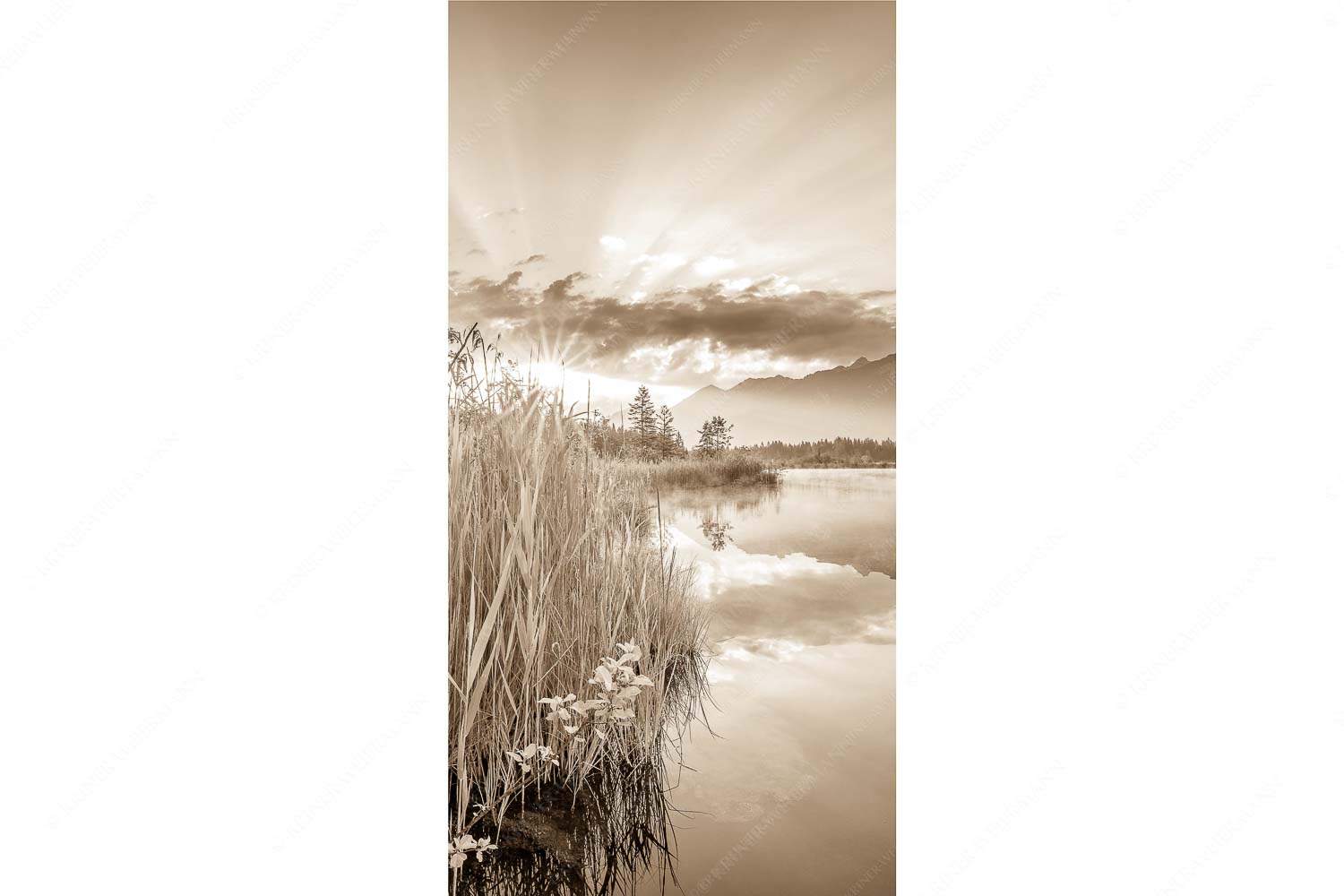 Sonnenaufgang am Barmsee mit Blick zum Karwendel und Wettersteingebirge - Utopia II - Seitenverhältnis 1:2 - Sonnenaufgang am Barmsee - weitere Infos unter https://www.kriner-weiermann.de