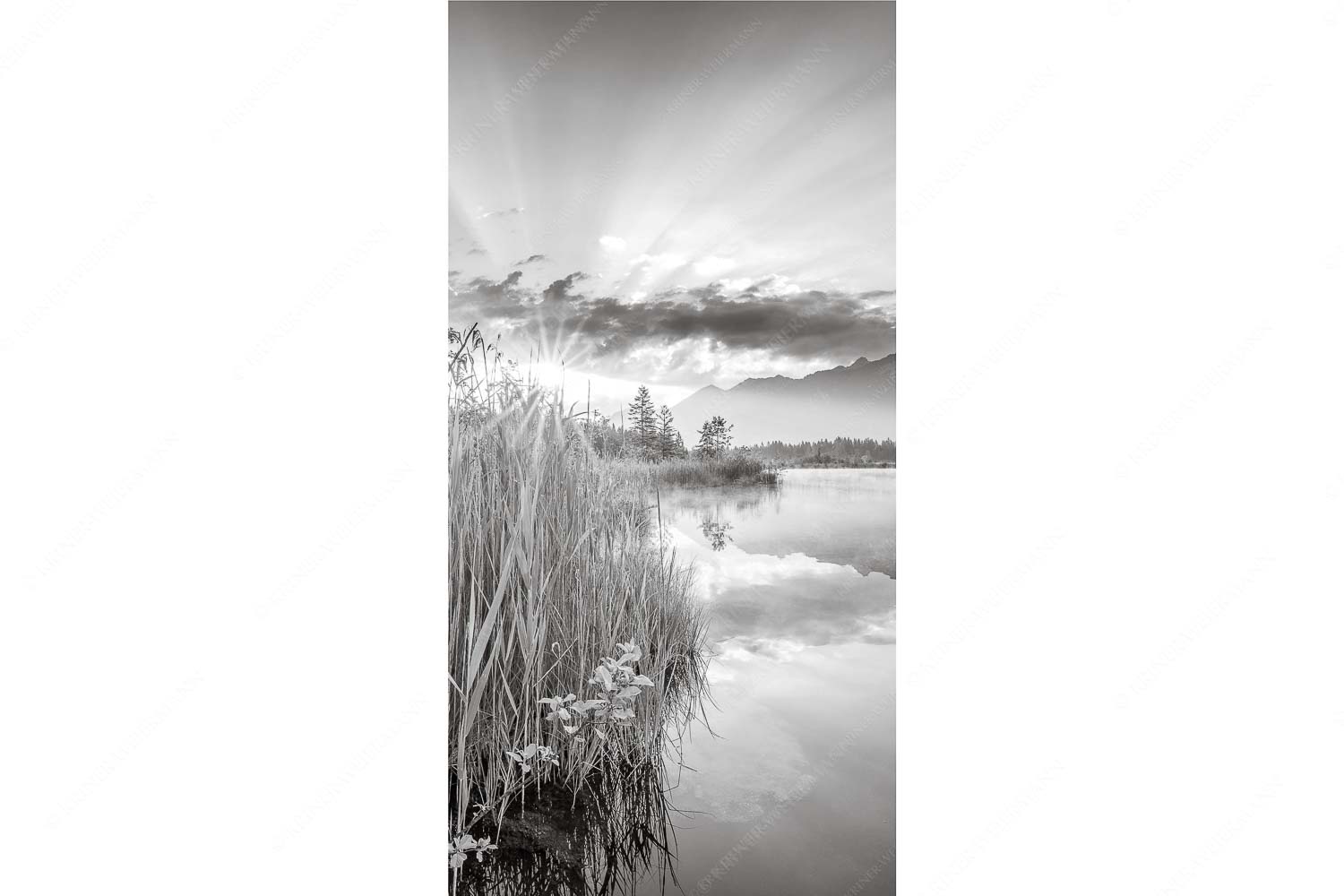 Sonnenaufgang am Barmsee mit Blick zum Karwendel und Wettersteingebirge - Utopia II - Seitenverhältnis 1:2 - Sonnenaufgang am Barmsee - weitere Infos unter https://www.kriner-weiermann.de