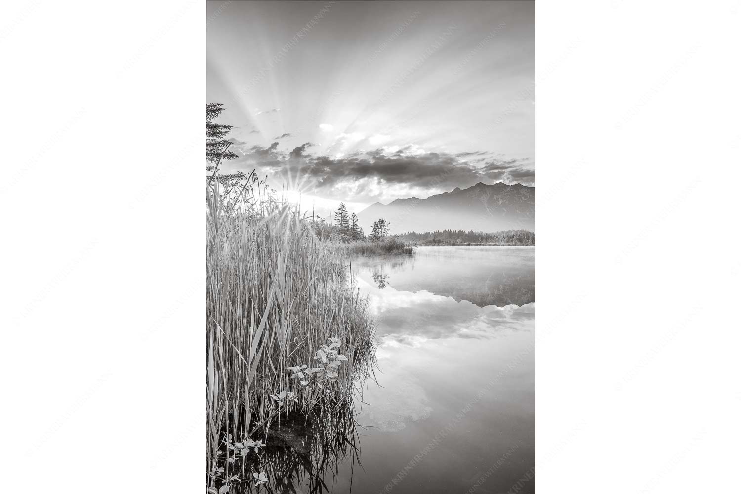 Sonnenaufgang am Barmsee mit Blick zum Karwendel und Wettersteingebirge - Utopia II - Seitenverhältnis 2:3 - Sonnenaufgang am Barmsee - weitere Infos unter https://www.kriner-weiermann.de