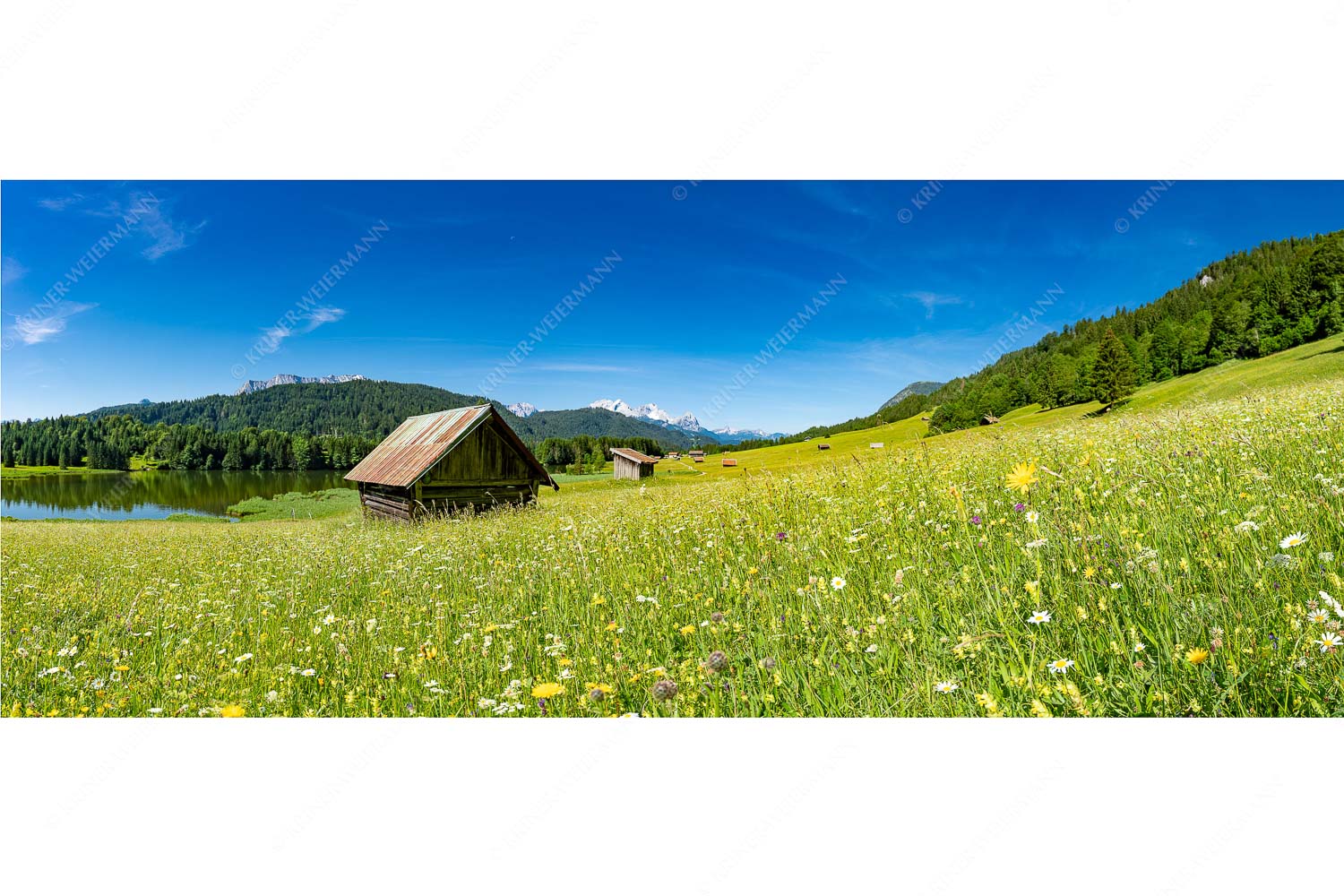 Blick über Blumenwiese am Geroldsee zum Zugspitzmassiv im Wetterstein - Wiesmahd am Geroldsee II - Seitenverhältnis 2,5:1 - Blumenwiese mit Zugspitze - weitere Infos unter https://www.kriner-weiermann.de